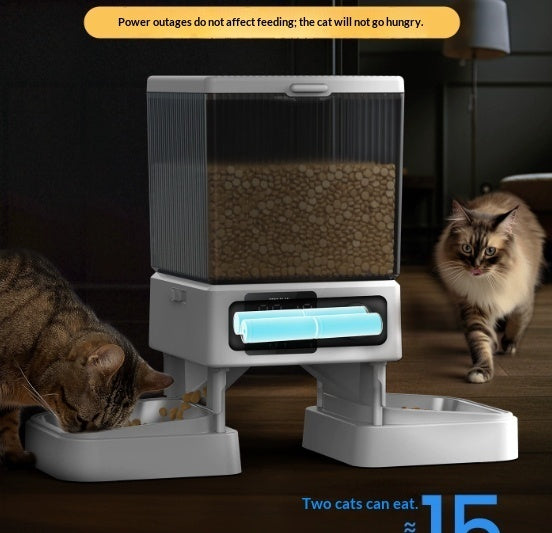 Automatic Cat Feeder With Dual Bowls Visual Timer-Controlled Portion-Adjustable Smart Pet Feeder For Cat Food - Fabs things