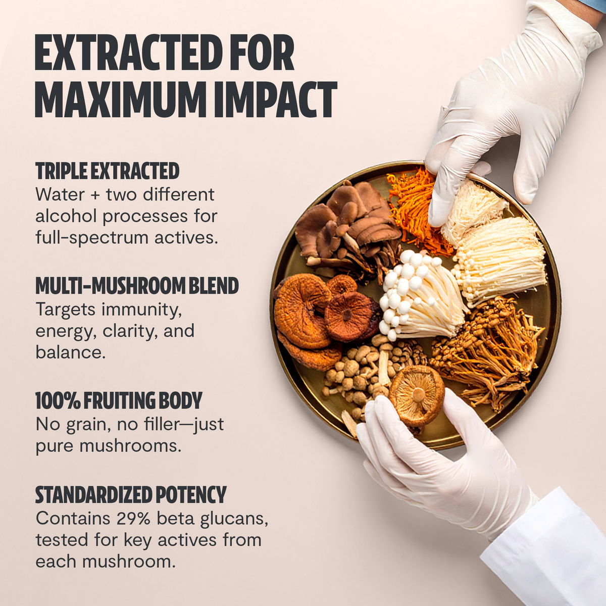 Organic Mushroom Complex Supplement Capsules - Fabs things