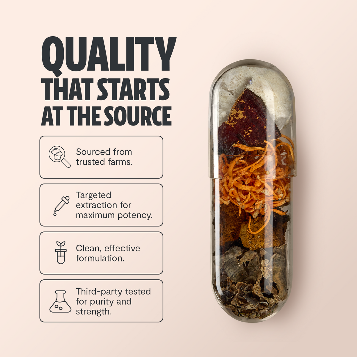 Organic Mushroom Complex Supplement Capsules - Fabs things