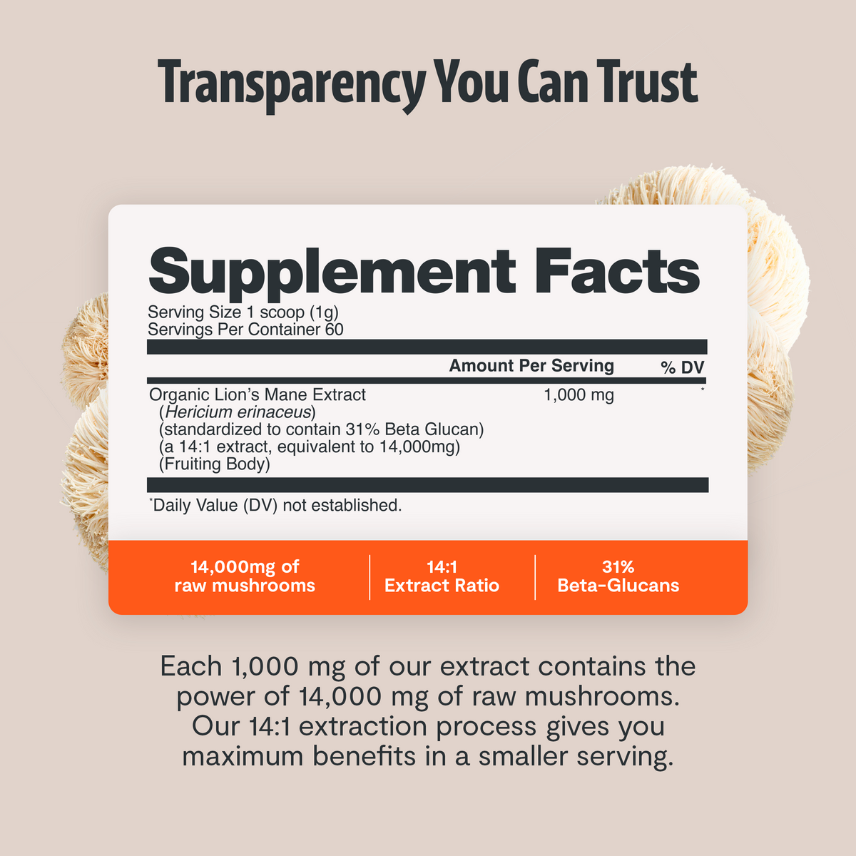 Organic Mushroom Complex Supplement Capsules - Fabs things