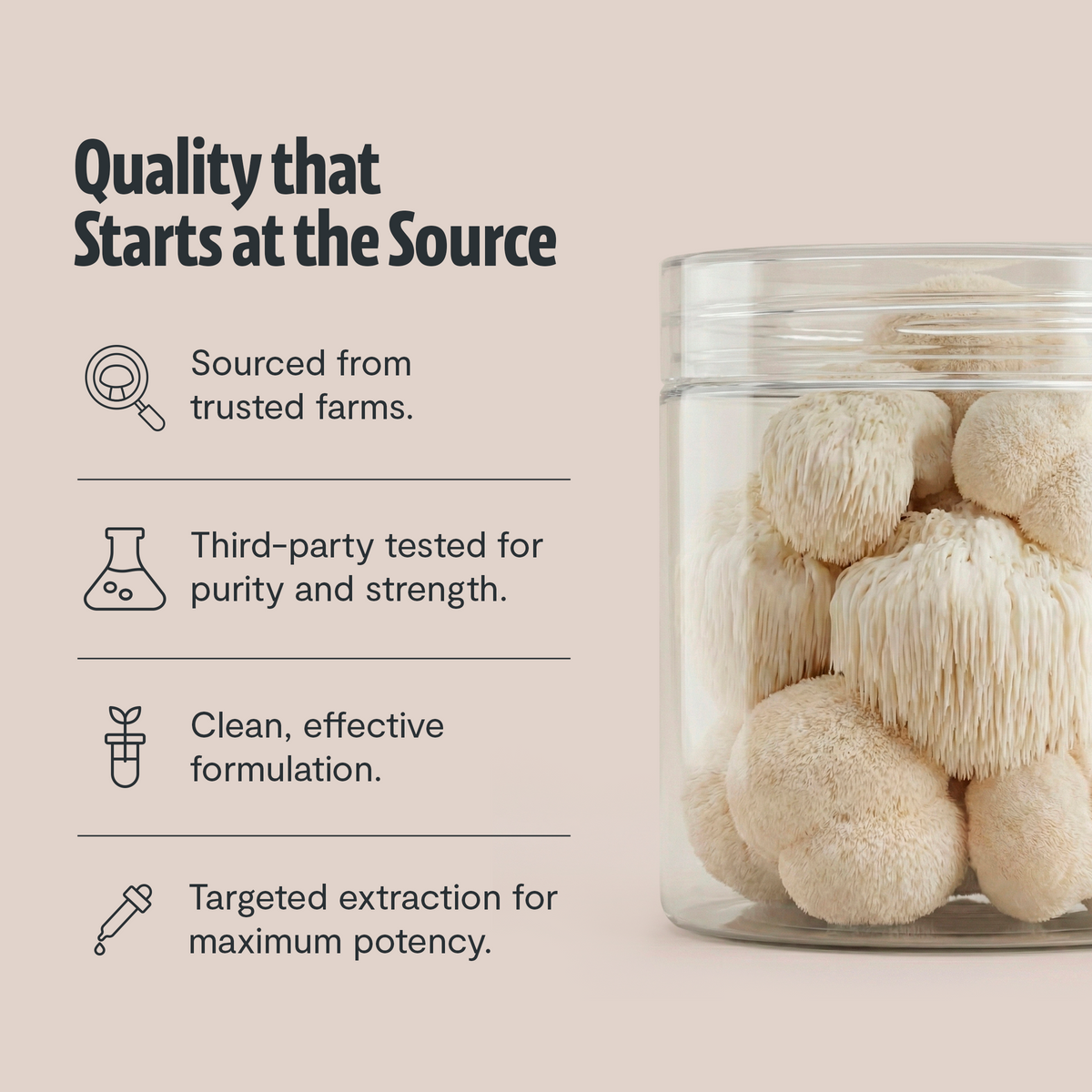 Organic Mushroom Complex Supplement Capsules - Fabs things