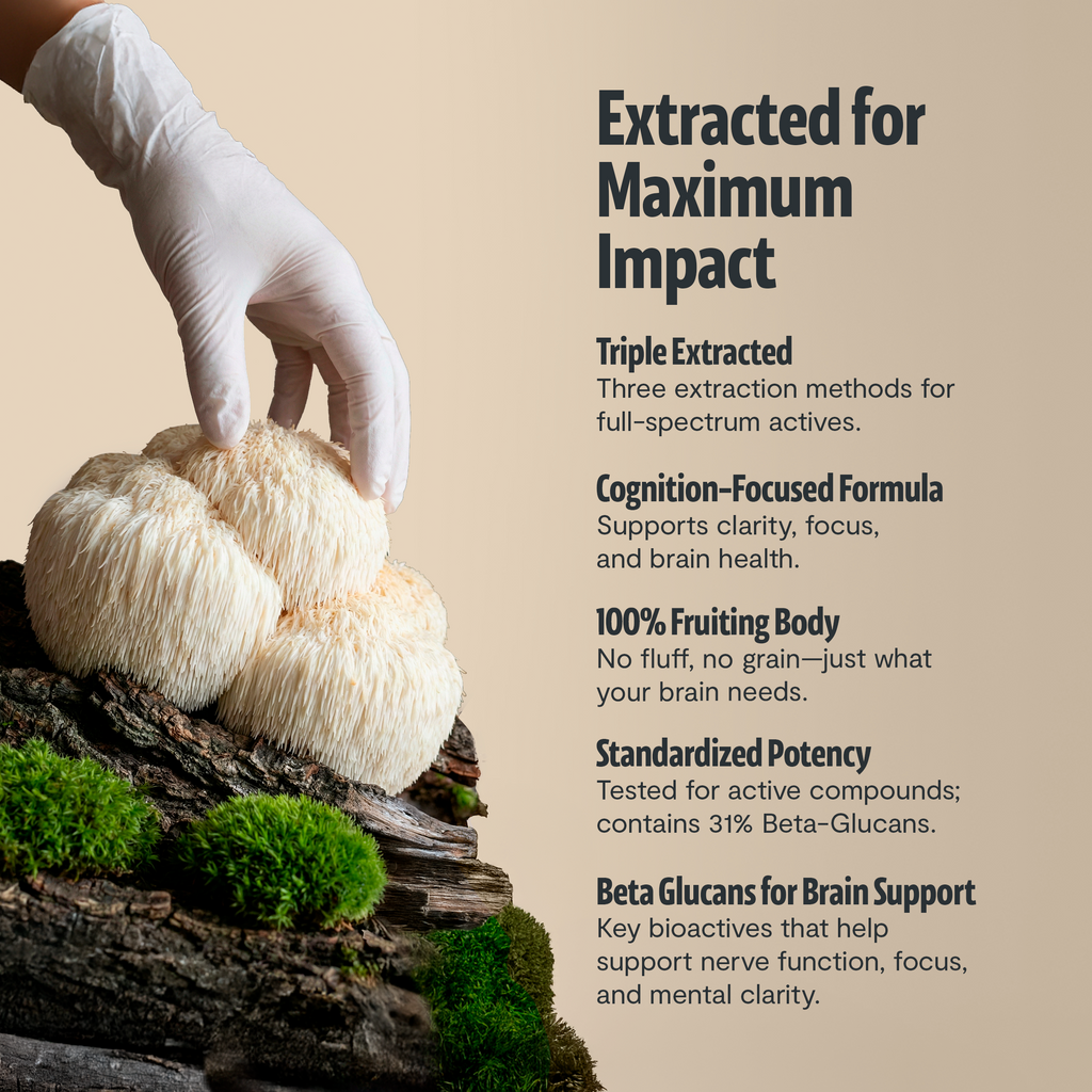 Organic Mushroom Complex Supplement Capsules - Fabs things