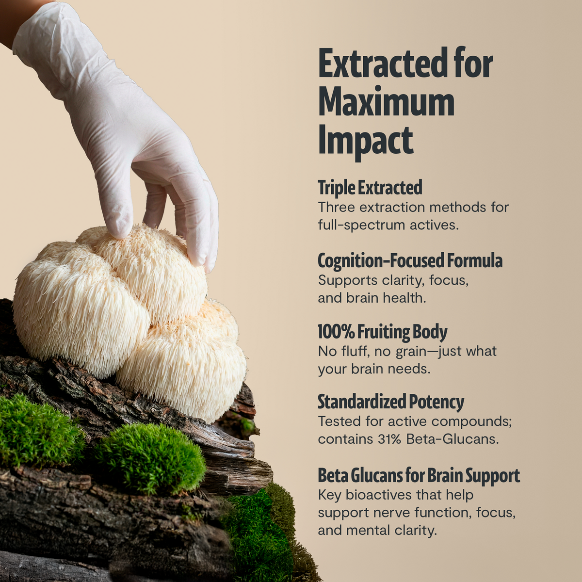 Organic Mushroom Complex Supplement Capsules - Fabs things