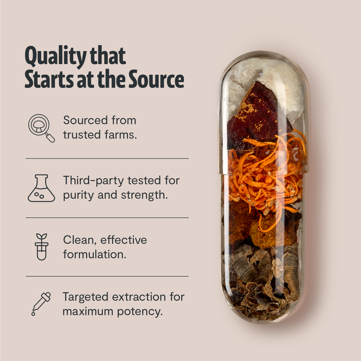 Organic Mushroom Complex Supplement Capsules - Fabs things
