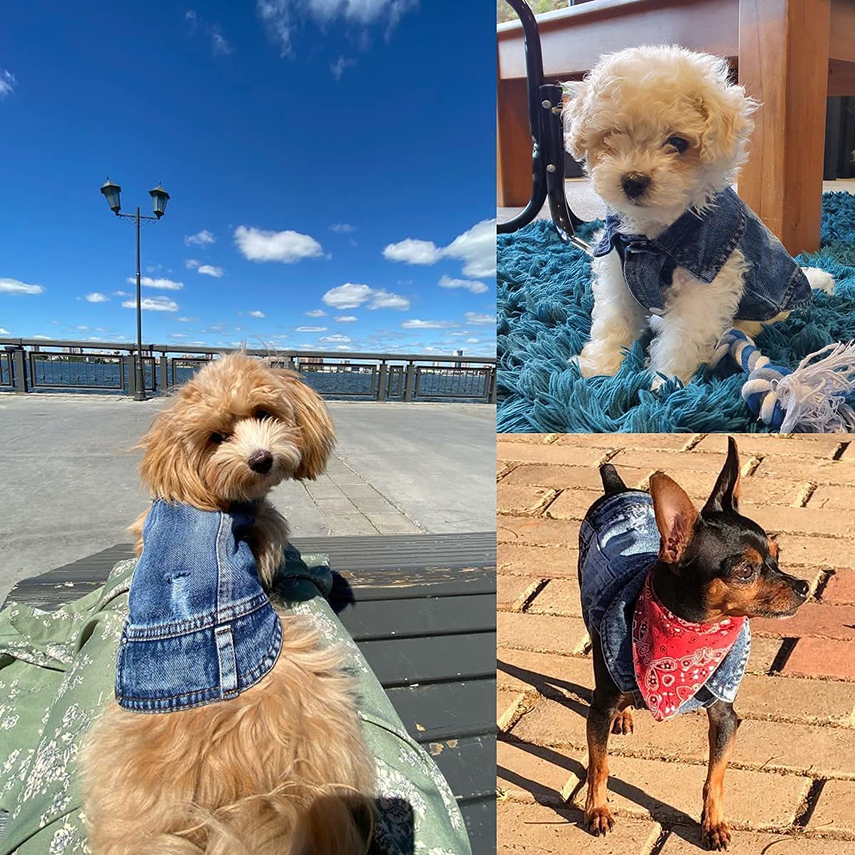 Pet Dog Cat Blue Denim Jeans Jacket Coat Vest - Fabs things