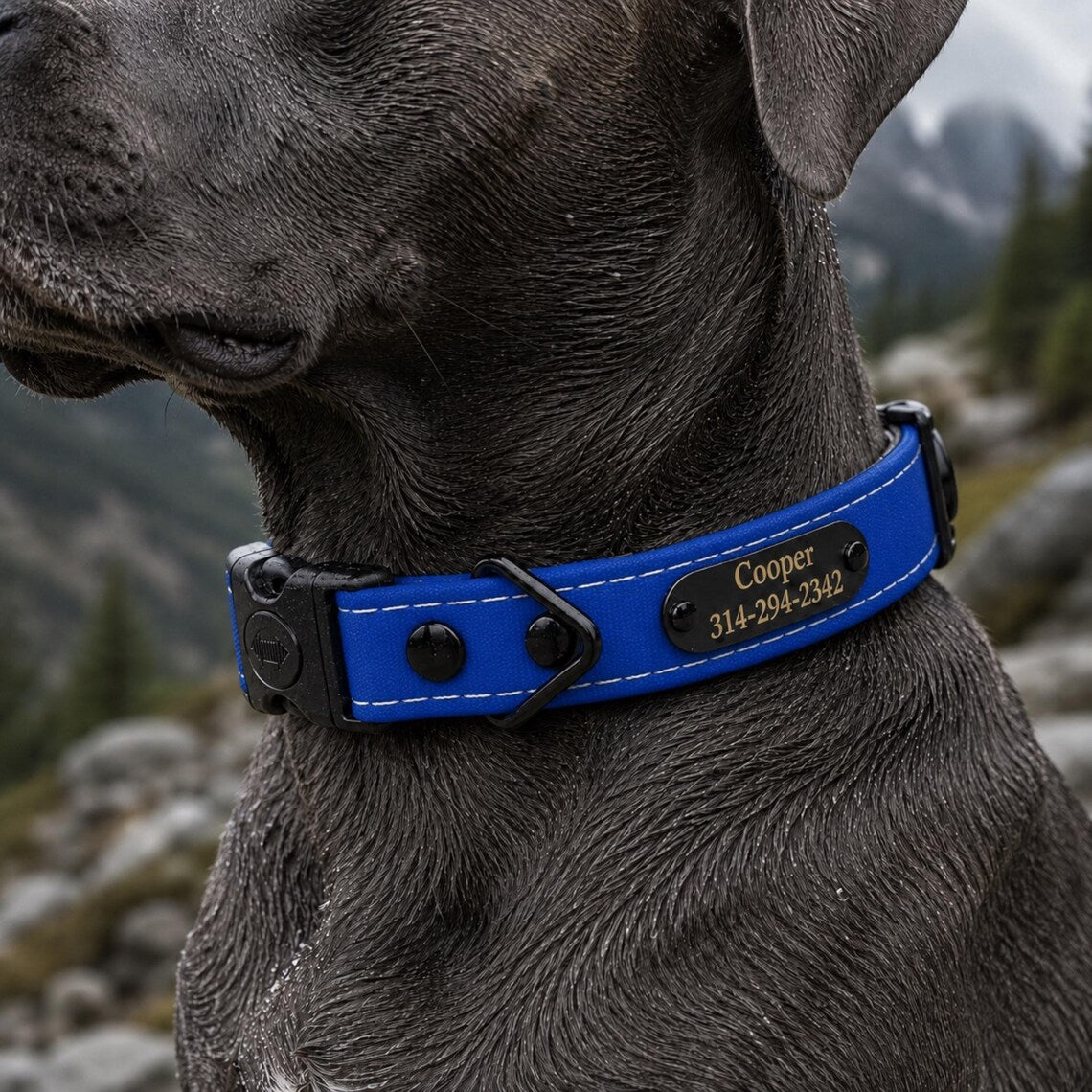 Rugged Waterproof AirTag Dog Collar with Holder - Fabs things