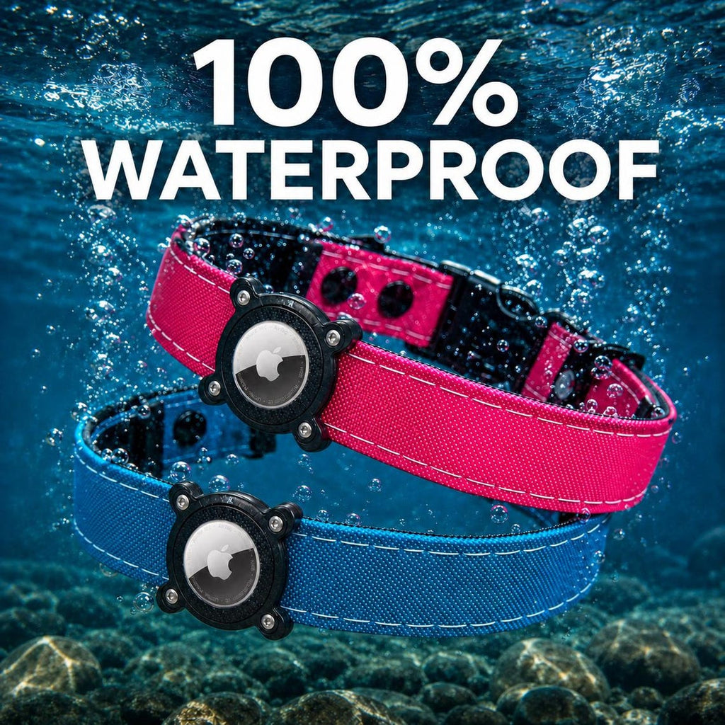 Rugged Waterproof AirTag Dog Collar with Holder - Fabs things