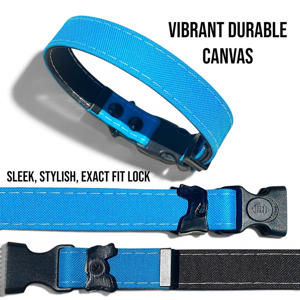 Rugged Waterproof AirTag Dog Collar with Holder - Fabs things