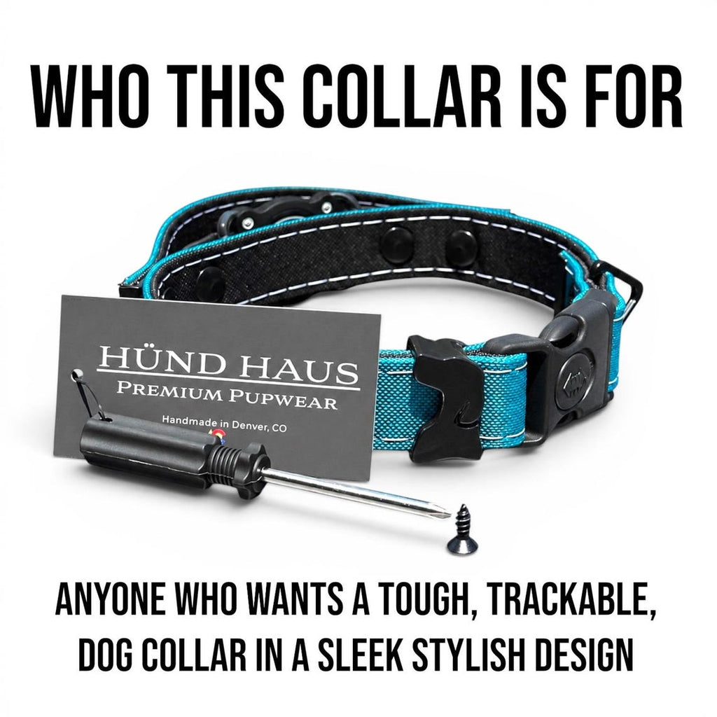 Rugged Waterproof AirTag Dog Collar with Holder - Fabs things
