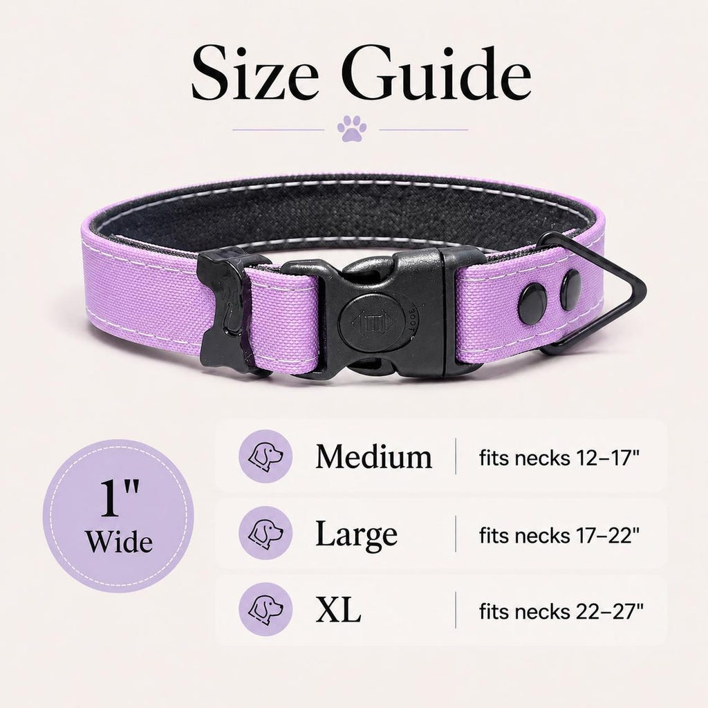 Rugged Waterproof AirTag Dog Collar with Holder - Fabs things
