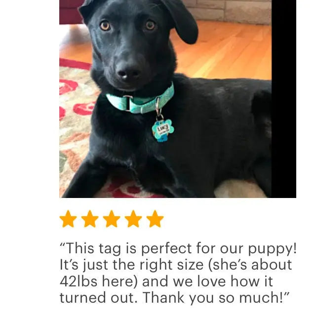 Pet Tag for Dogs  - Star Pet Tag - Custom Pet Tag - Dog Pet Tag - Navy Blue & Lime Green Personalized Pet Tag - Fabs things