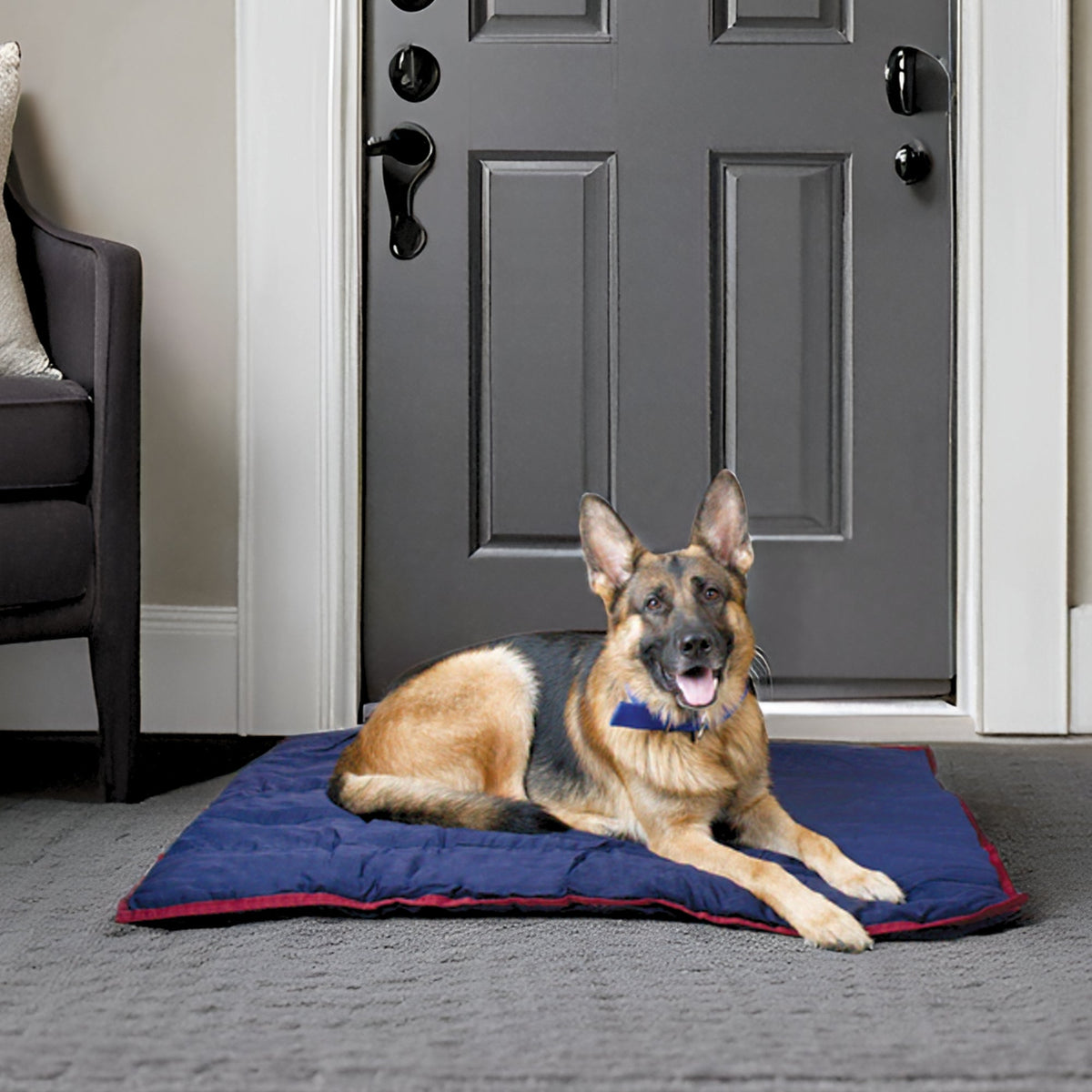 Jeffers Pet Washable Comfy Dog Pillow for Crates, Carriers, or Lounging - Fabs things