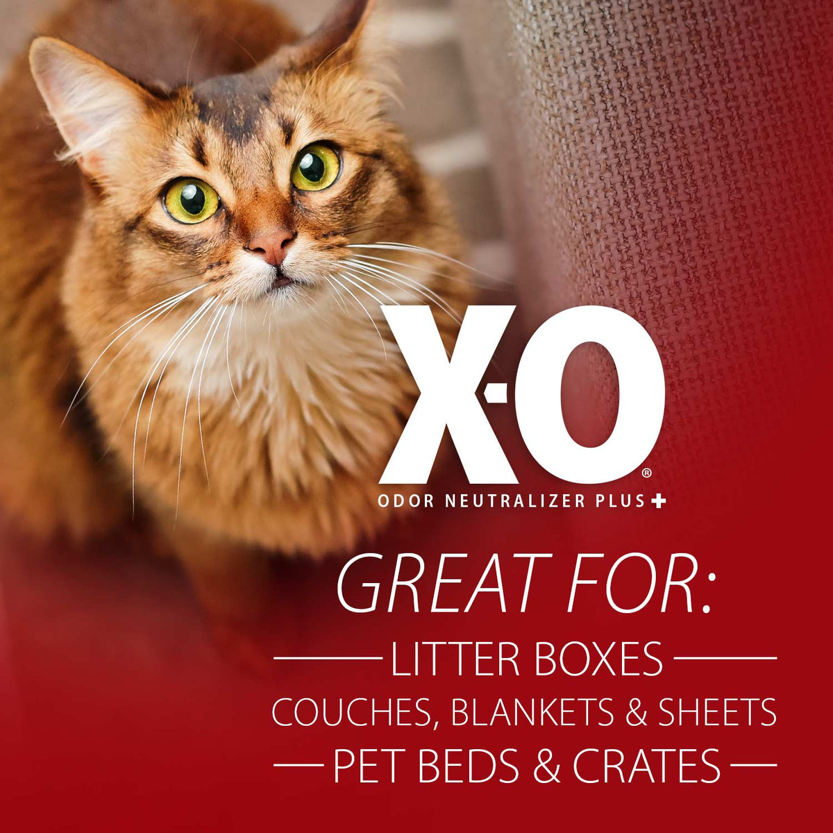 Jeffers X-O Pet Odor Neutralizer Plus + Cleaner Concentrate - Fabs things