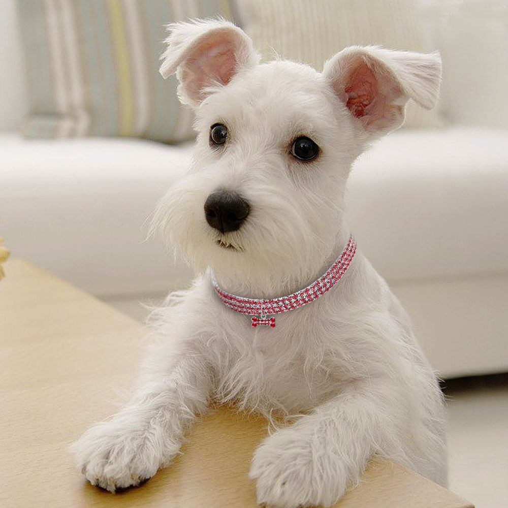 Bling Rhinestone Dog Collar Crystal Puppy Chihuahua Pet Dog Collars Leash For Small Medium Dogs Cats - Fabs things