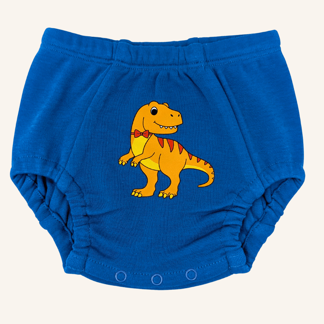 Day & Night Organic Training Underwear - Fabs things