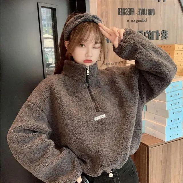 New Autumn Winter Hoodies Women New Imitation Lamb Short Plus Thick Sweatshirt Female Loose Student Jacket Tops Sweatshirt For Men And Women Fleece Sweatshirt Warm Winter Sweatshirt - Fabs things