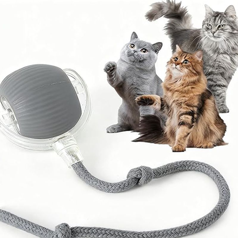Cat Interactive Ball Toys Automatic Rolling Ball For Kitten Rechargeable Smart Pet Electric Toys With Teaser Sensor Cat Ball Toy - Fabs things
