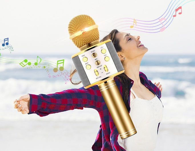 Wireless Microphone Portable Bluetooth Mini Home Ktv For Music Playing Singing Speaker Player - Fabs things