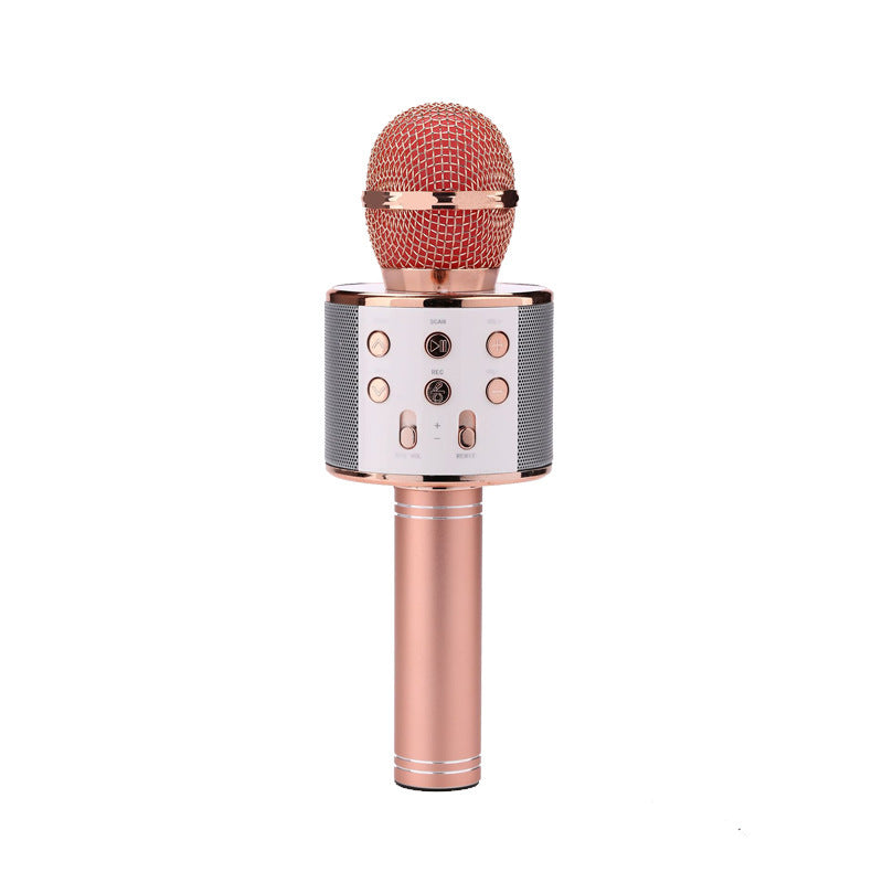 Wireless Microphone Portable Bluetooth Mini Home Ktv For Music Playing Singing Speaker Player - Fabs things