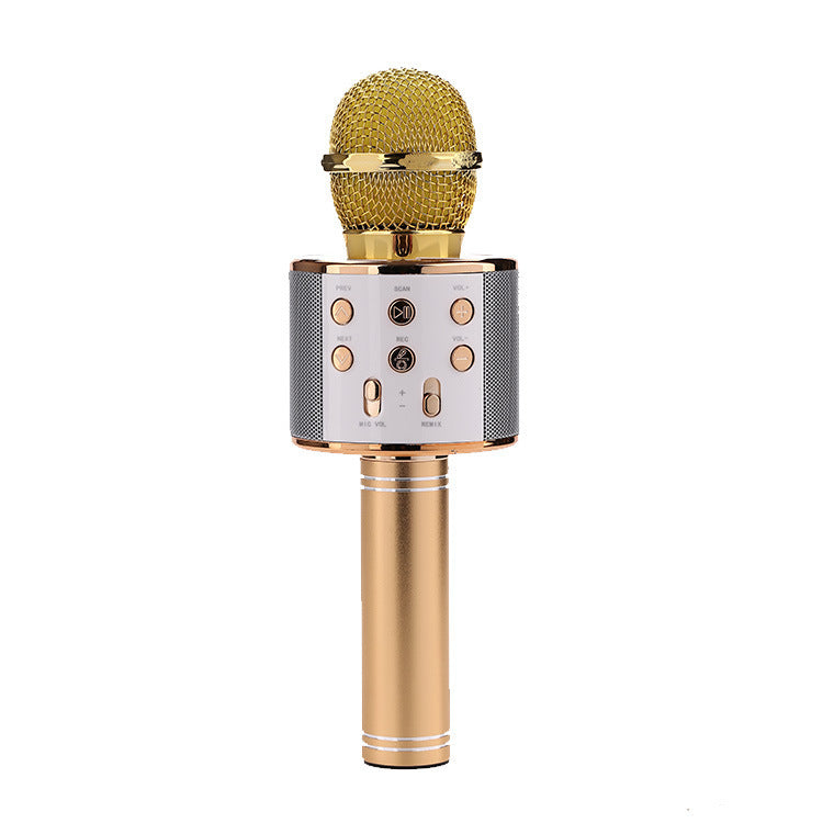 Wireless Microphone Portable Bluetooth Mini Home Ktv For Music Playing Singing Speaker Player - Fabs things