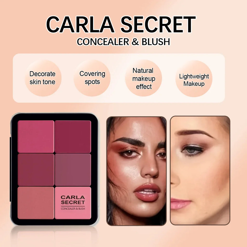 12-color concealer and blush palette Matte and highlight contour makeup rouge palette - Fabs things
