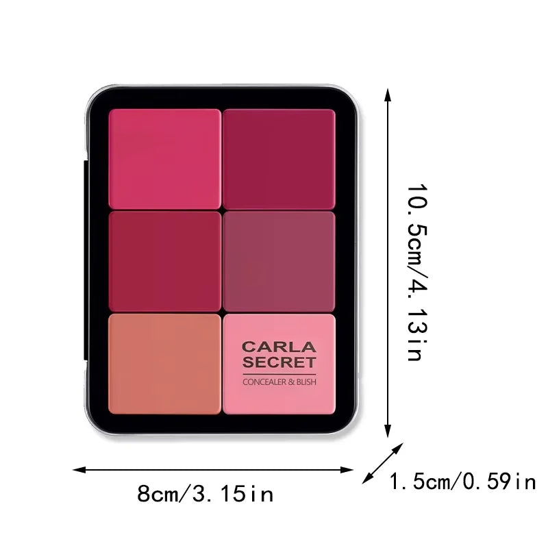 12-color concealer and blush palette Matte and highlight contour makeup rouge palette - Fabs things