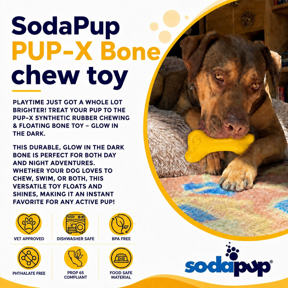 PUP-X Rubber Bone Dog Toy - Durable, Floats, Chew Toy for Large Dogs | USA - Fabs things