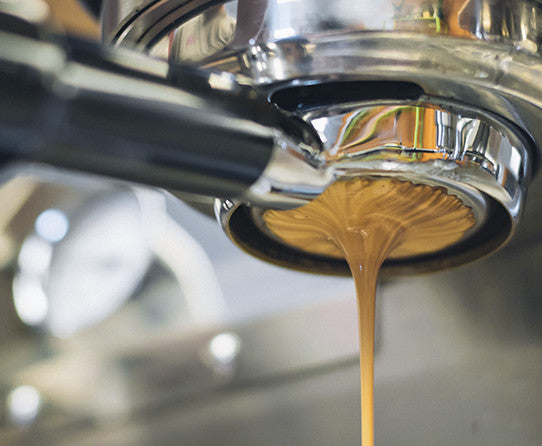 Knee Buckling Espresso - Fabs things