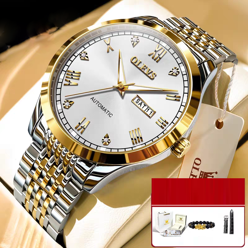 Men's Watch Men's Mechanical Watch Fully Automatic Simple Wind Waterproof Night Light Watch - Fabs things
