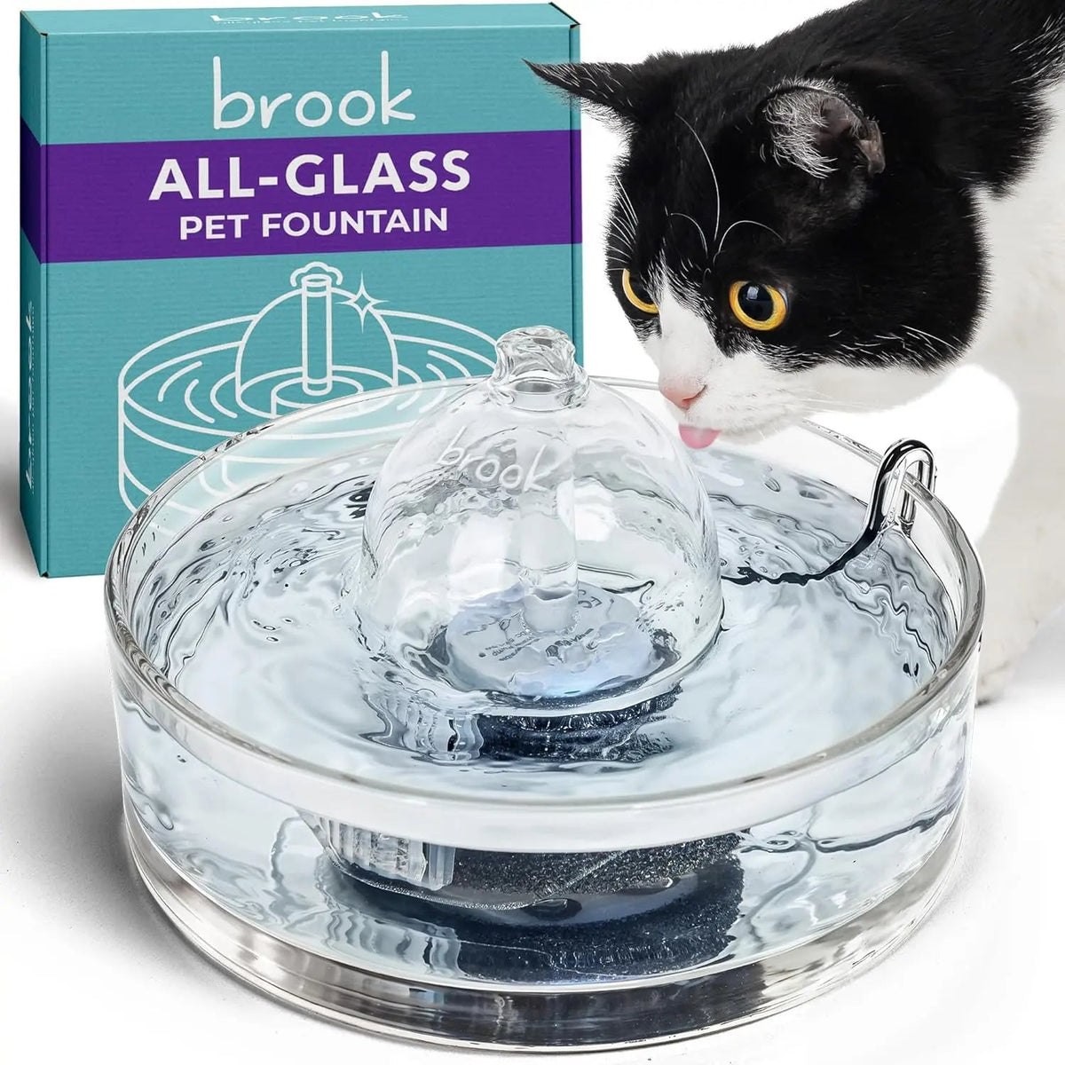 Glass Pet Water Fountain for Cats & Small Dogs - Fabs things