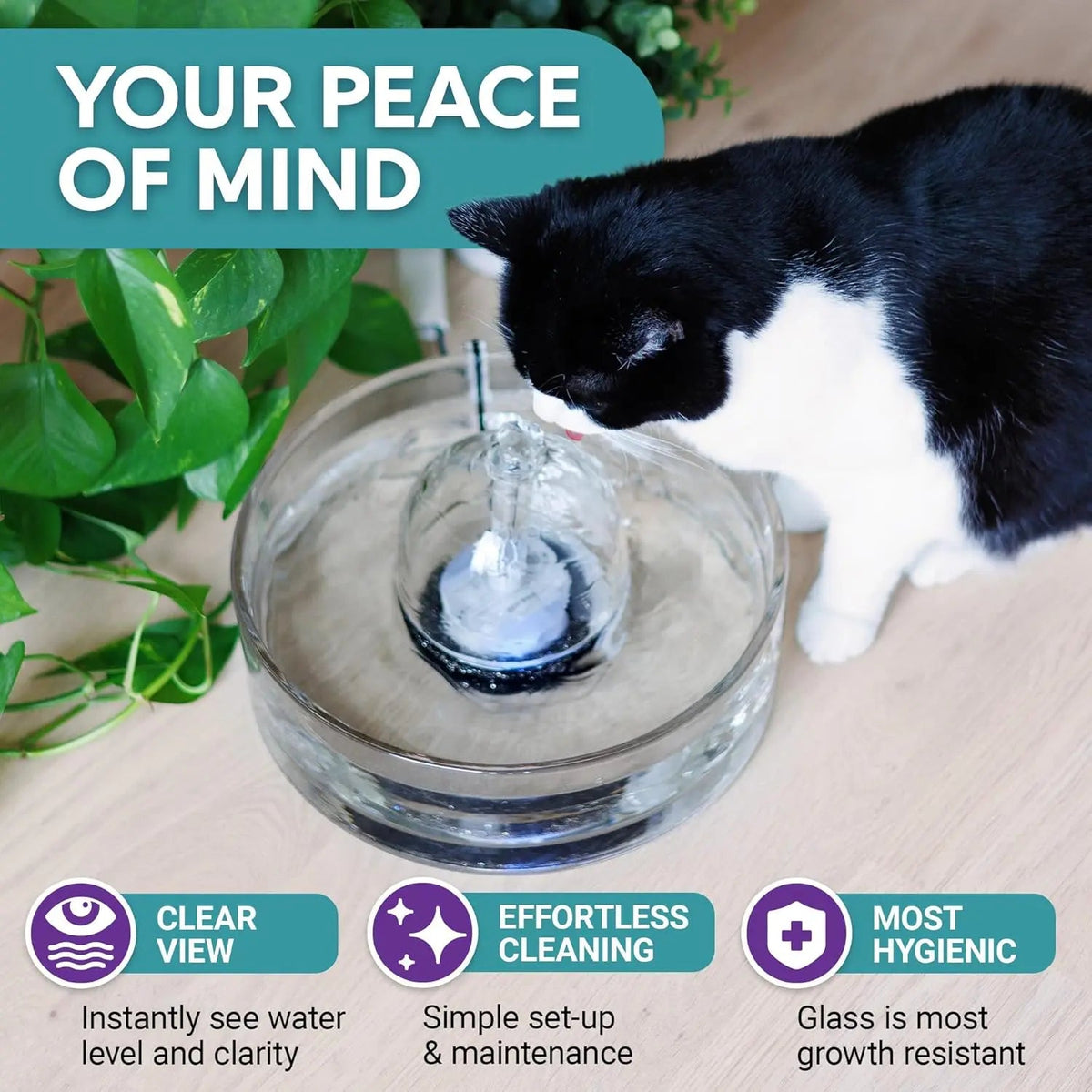 Glass Pet Water Fountain for Cats & Small Dogs - Fabs things