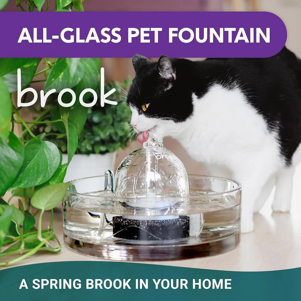 Glass Pet Water Fountain for Cats & Small Dogs - Fabs things